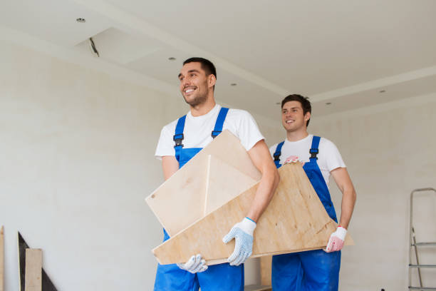 Best Carpet Removal and Disposal  in Independence, MN