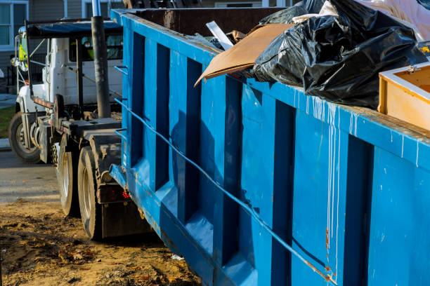 Best Shed Removal  in Independence, MN