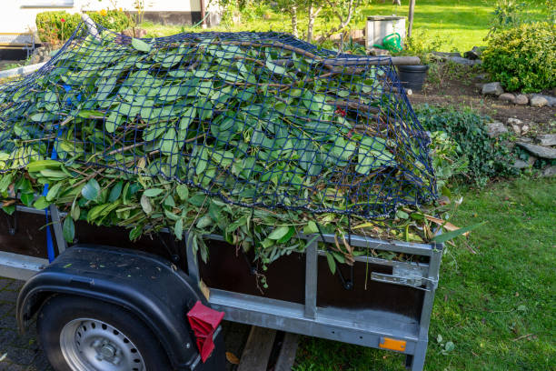 Best Construction Debris Removal  in Independence, MN